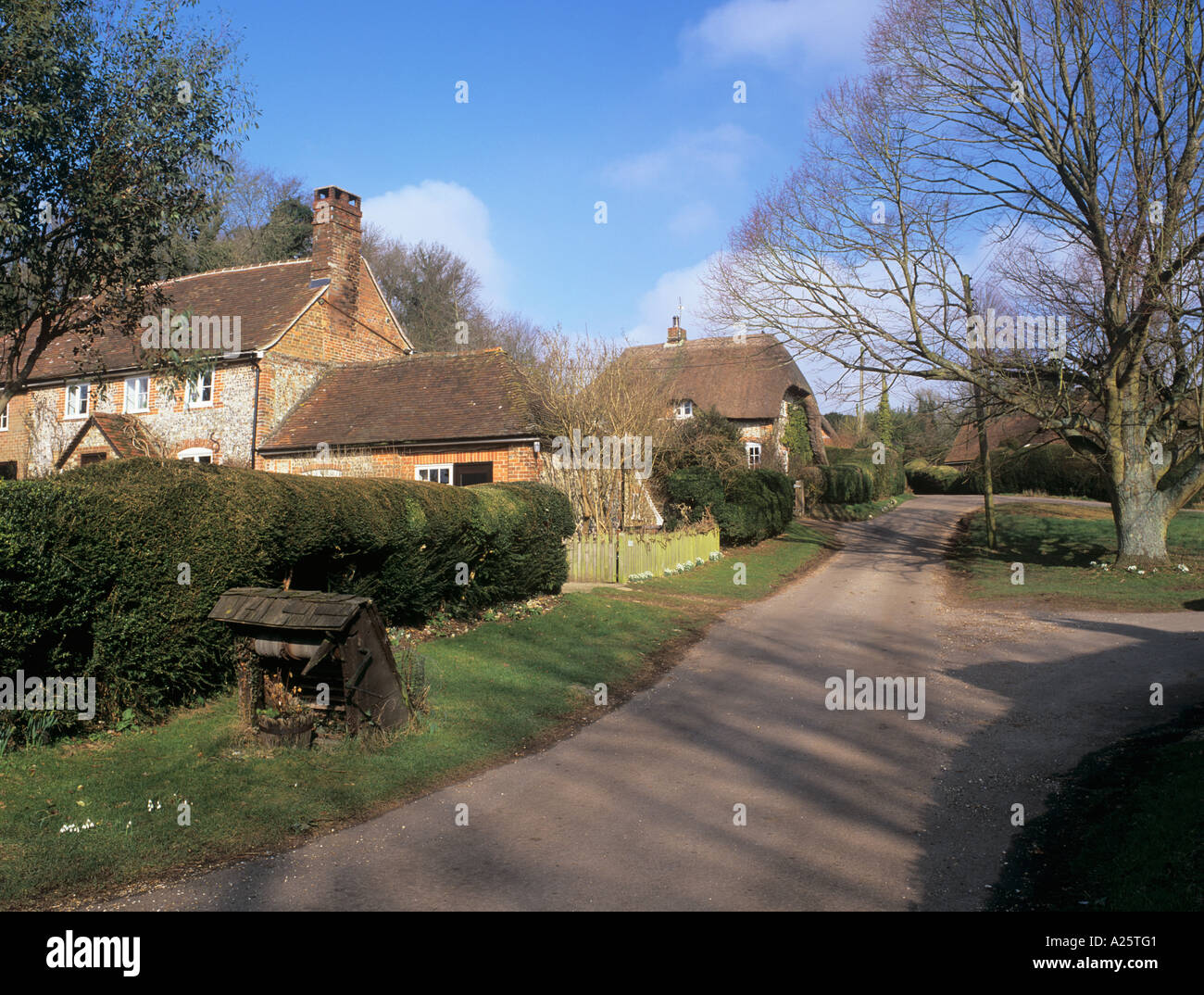 FLINT and THATCHED COTTAGES beside the village green. Chute Cadley Wiltshire England UK Stock Photo