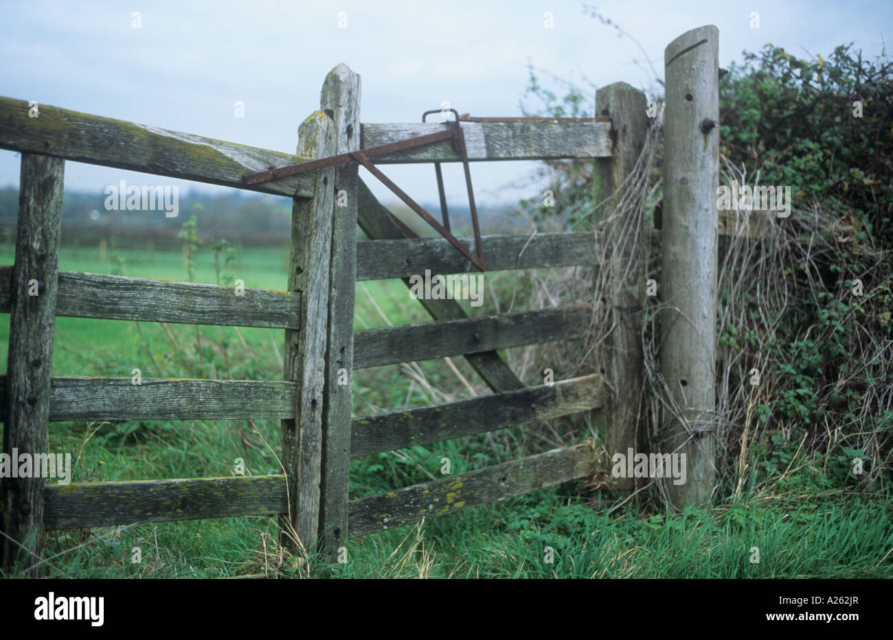 Wooden gate Stock Photo
