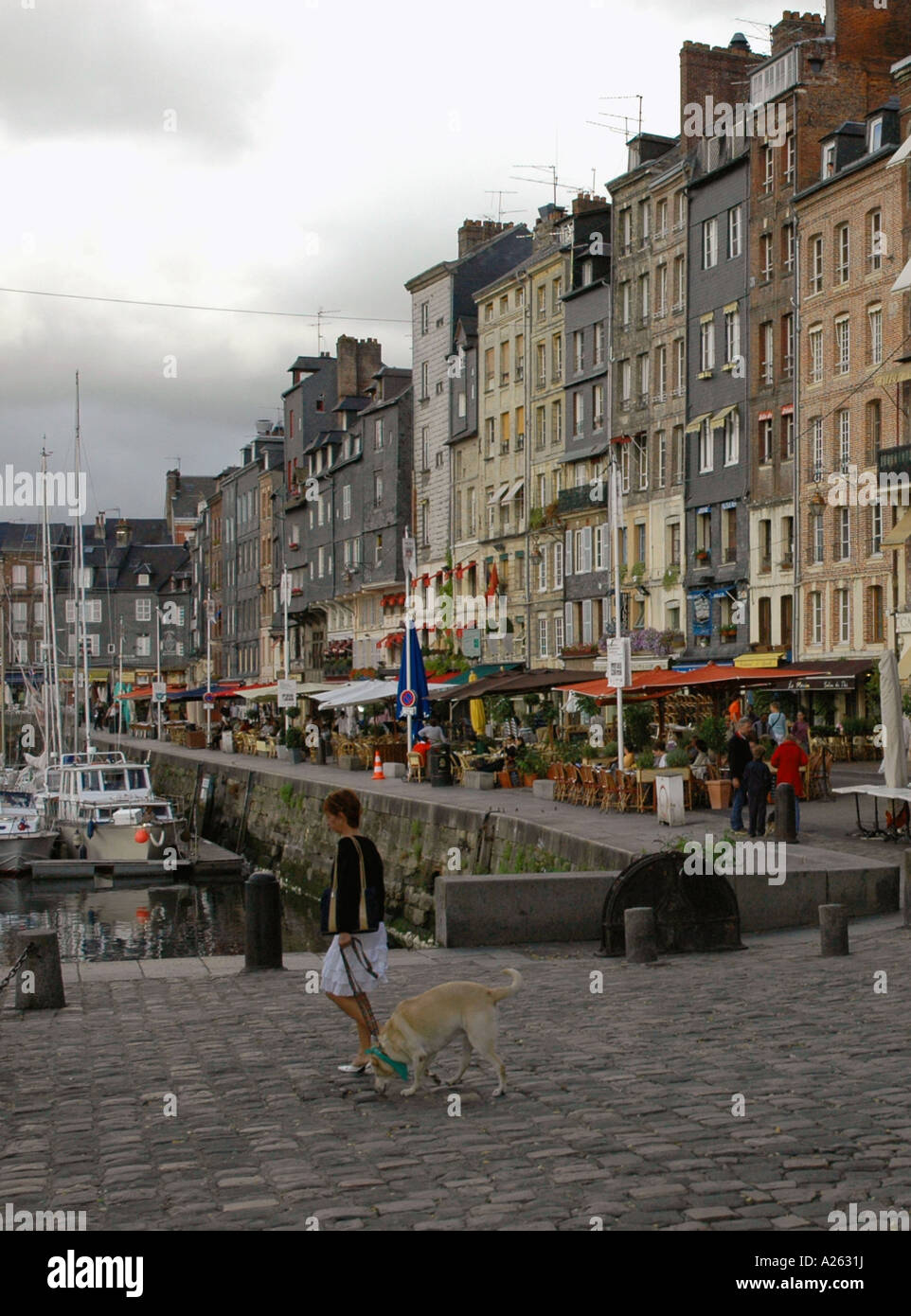 Characteristic View of Honfleur Old Port English Channel La Manche