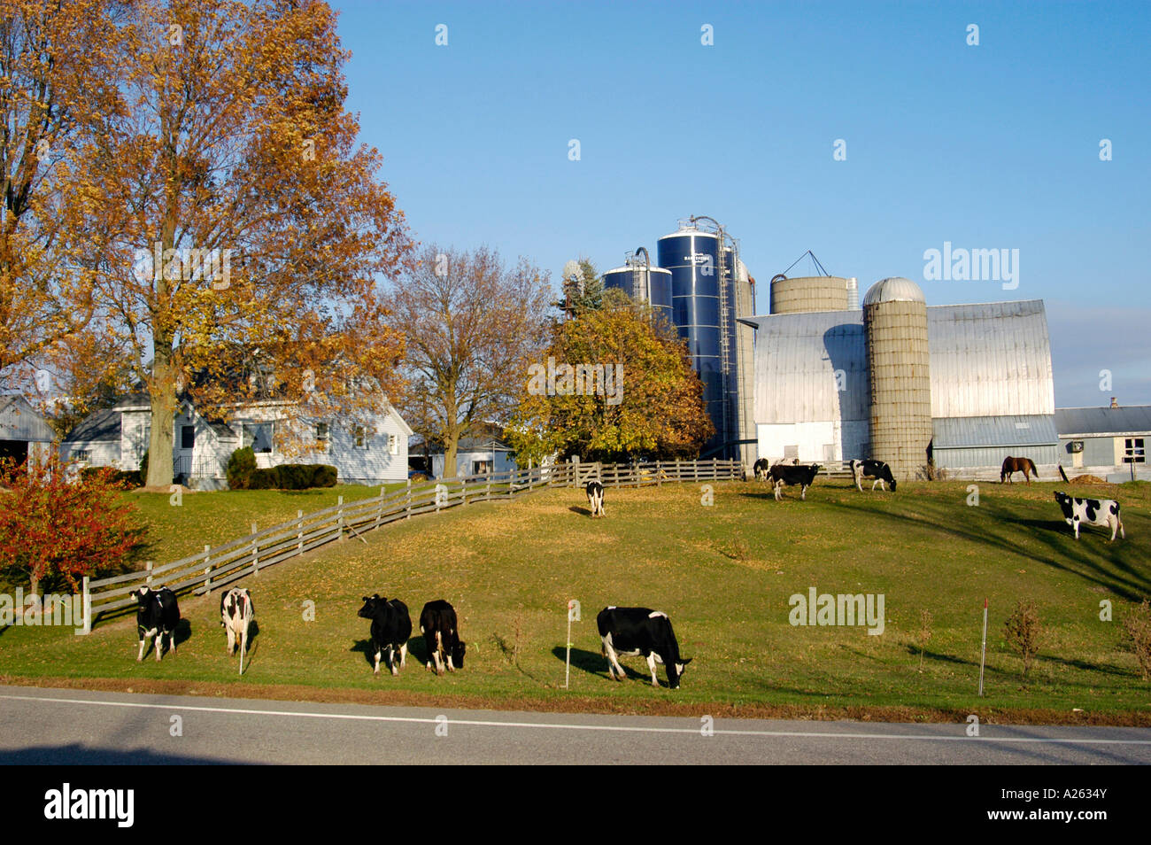 Small family dairy farm near Port Austin Michigan MI Stock Photo Alamy