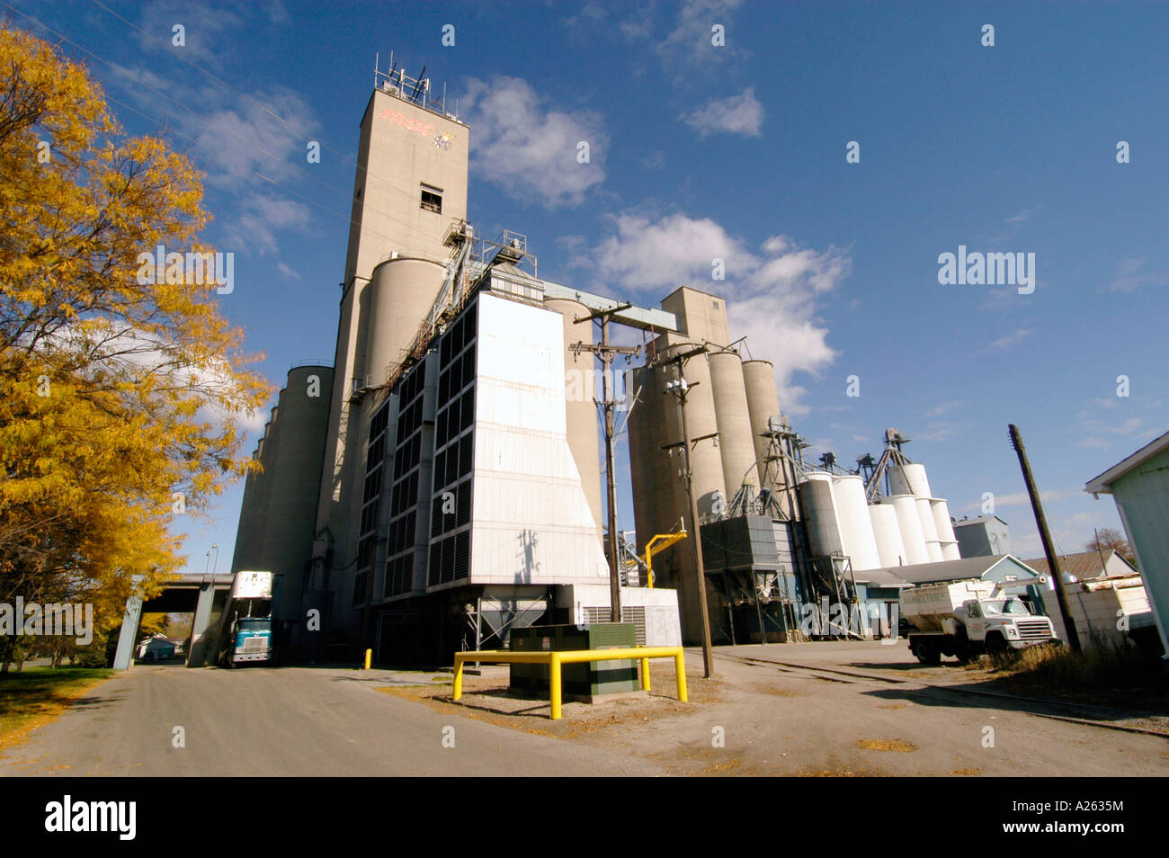 Large grain storage elevator located near Alama Michigan MI Stock Photo