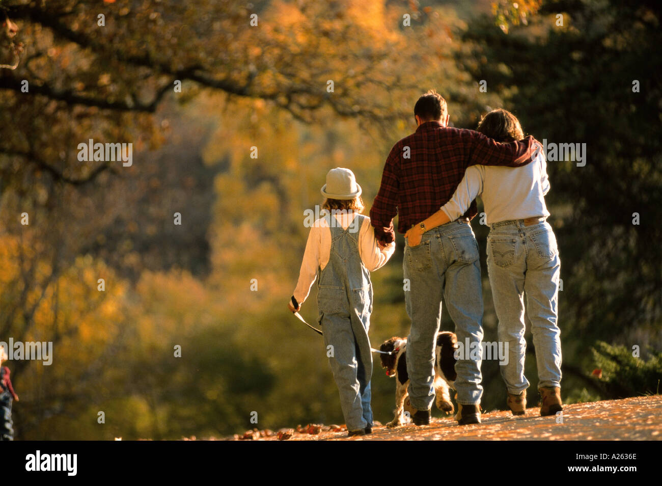 Family park dog hi-res stock photography and images - Alamy