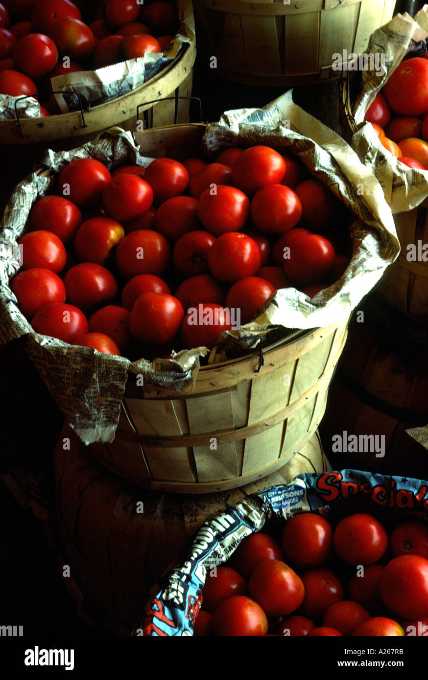 Bushel of tomatoes hires stock photography and images Alamy
