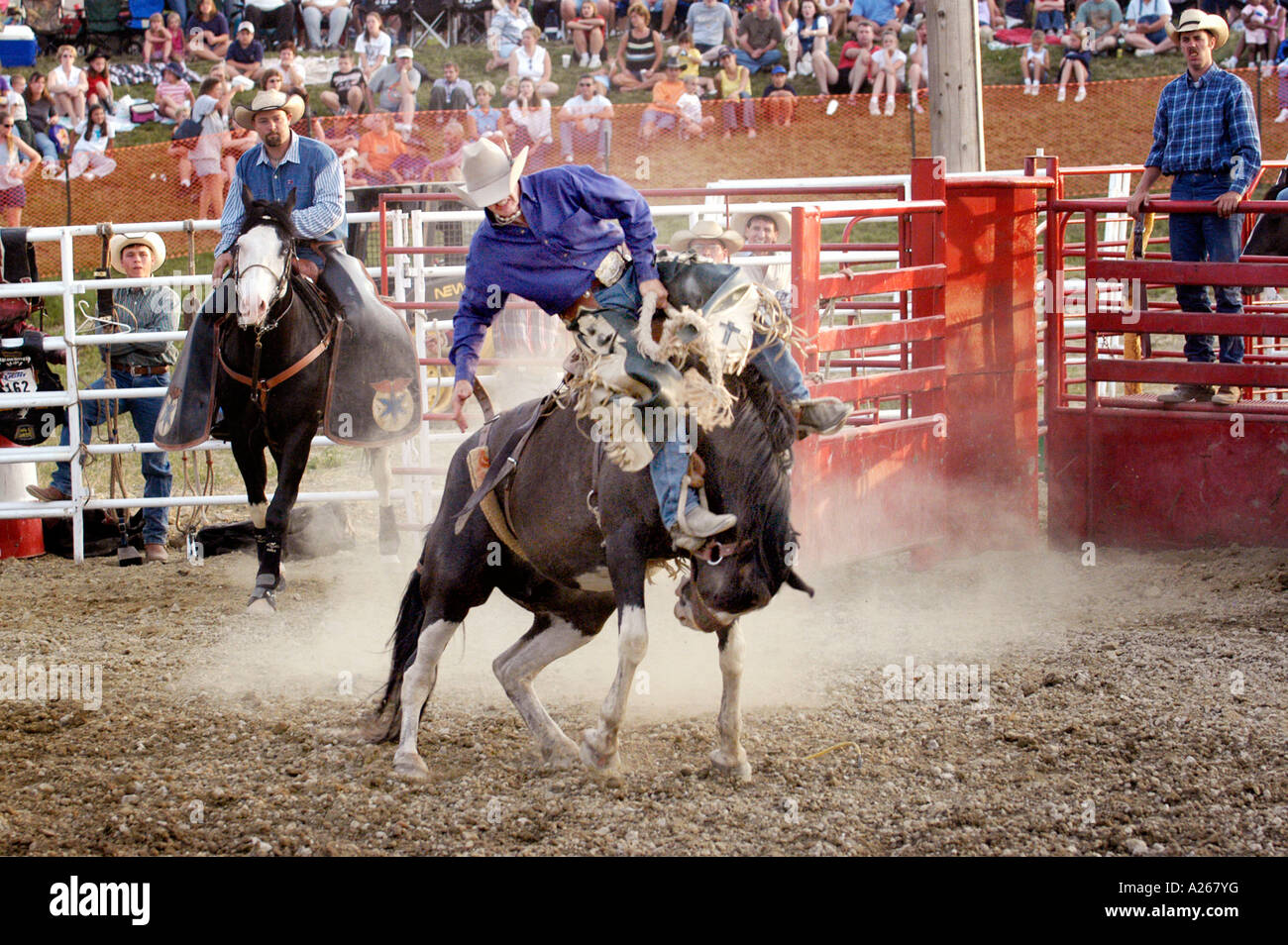 Cowboys compete in Rodeo action Stock Photo