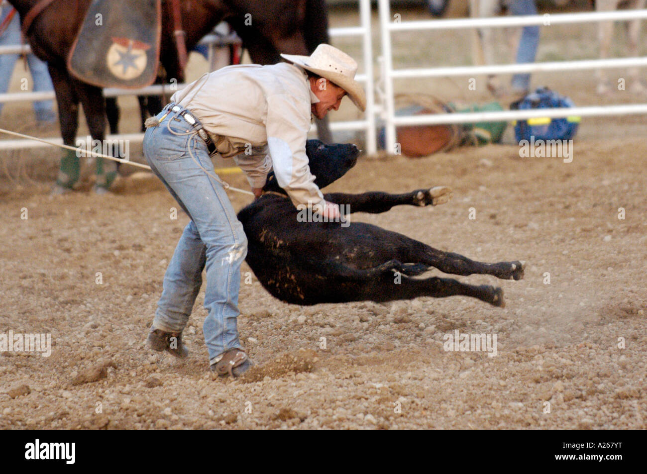 Cowboys compete in Rodeo action Stock Photo