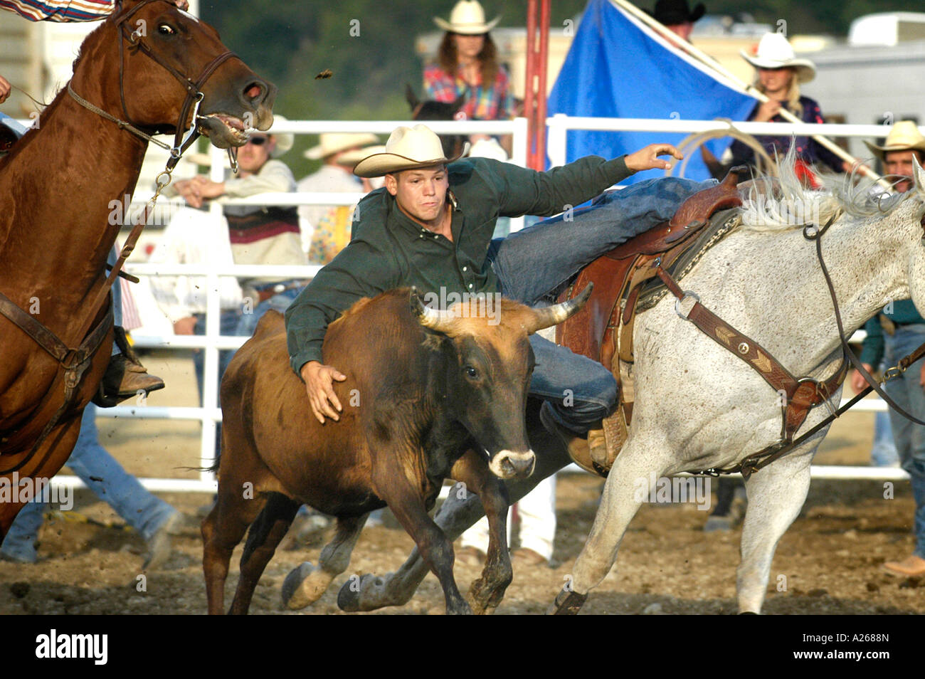 Cowboys compete in Rodeo action Stock Photo
