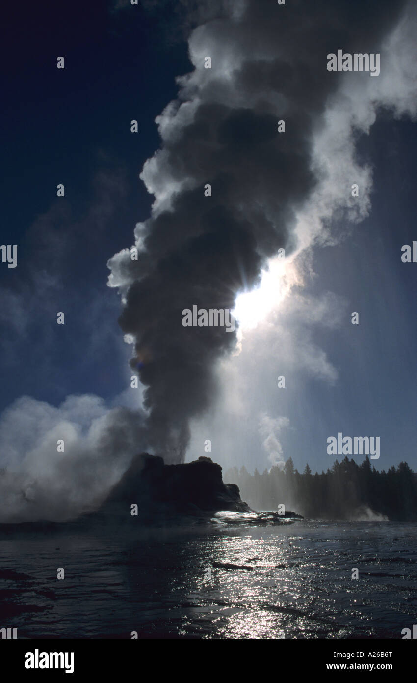 Yellowstone Rising Sun Castle Geyser Yellowstone eruptung with the sun rising behind creation ...