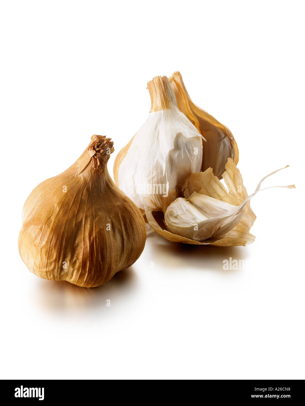 Smoked garlic bulbs Garlic Allium Sativum bulbs cook ingredient Stock