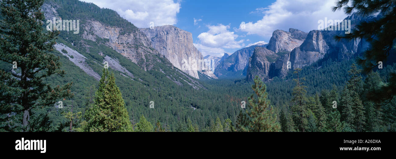 Main valley with El Capitan Yosemite National Park California USA Stock Photo