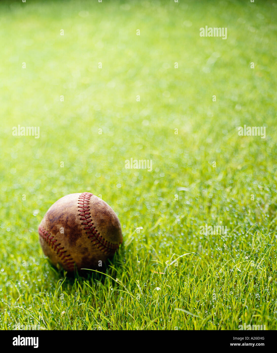baseball in grass Stock Photo
