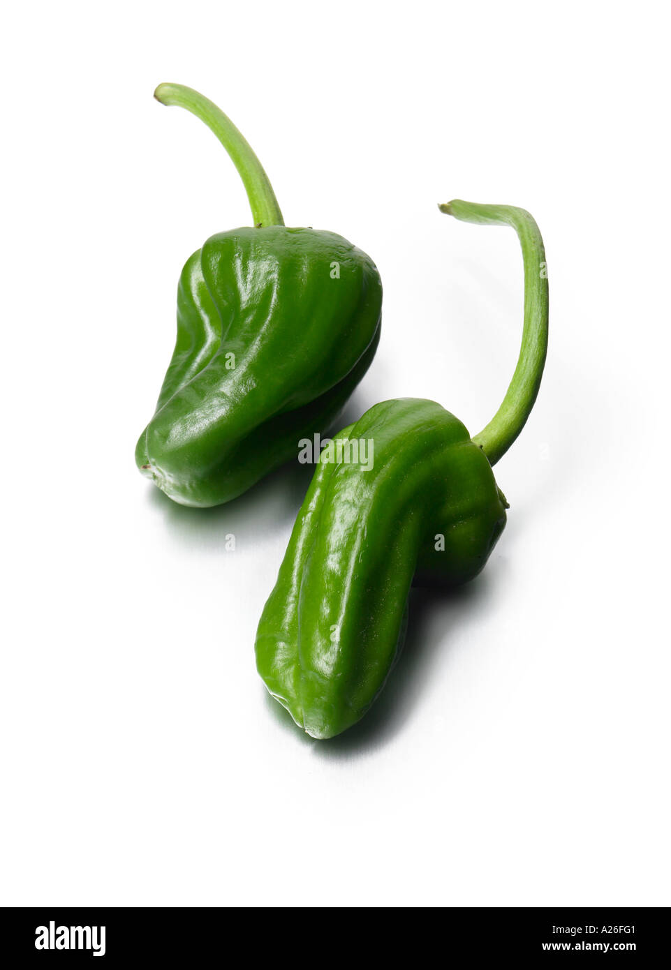 Padron peppers food, pepper, padron, vegetable, green, healthy, fresh, raw, organic, ingredient, vegetarian, spanish, cooking, chili, cuisine, Stock Photo