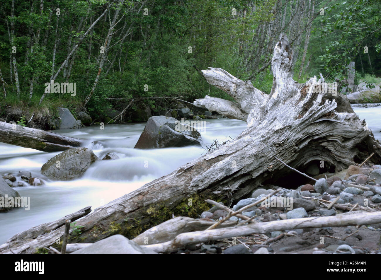 Mt Hood National Forest Stock Photo - Alamy