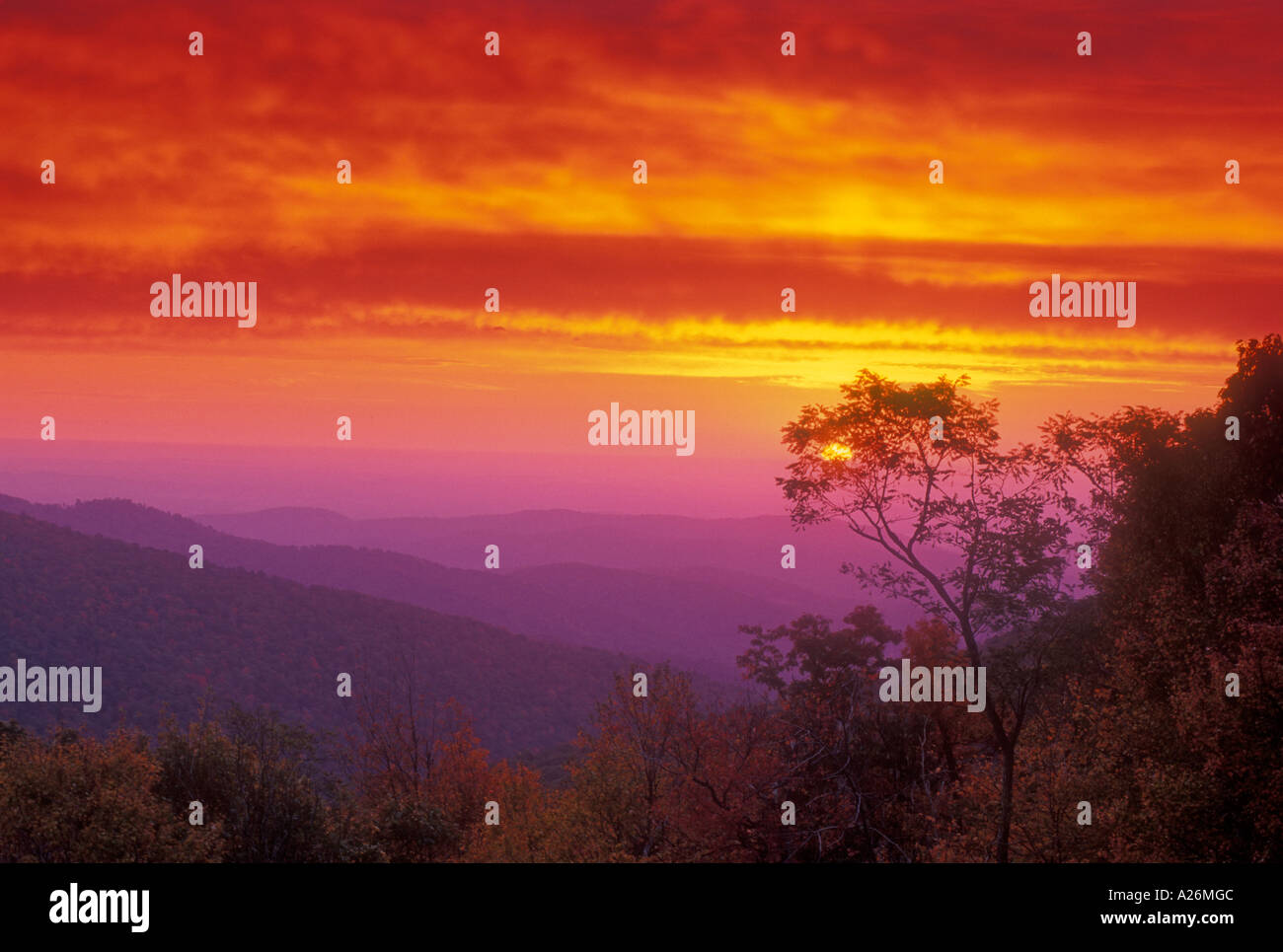 Dawn skies over Virginia mountain ranges  Shenandoah National Park , VA Stock Photo