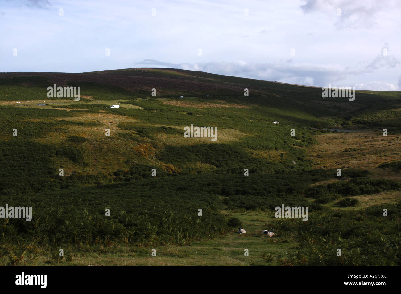 A remote road winds through Dartmoor Stock Photo Alamy