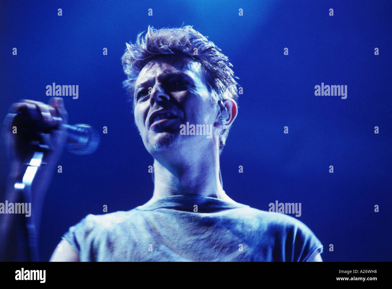 DAVID BOWIE in November 1995 Stock Photo