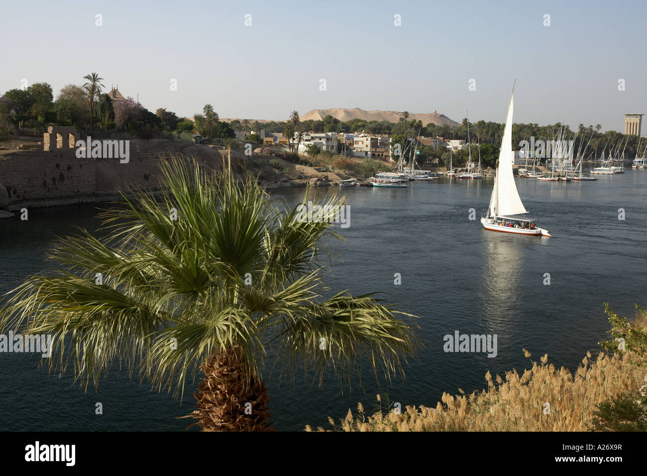 Felucca on Nile River Aswan Egypt Stock Photo - Alamy