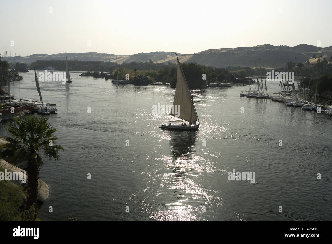 Felucca on Nile River Aswan Egypt Stock Photo - Alamy