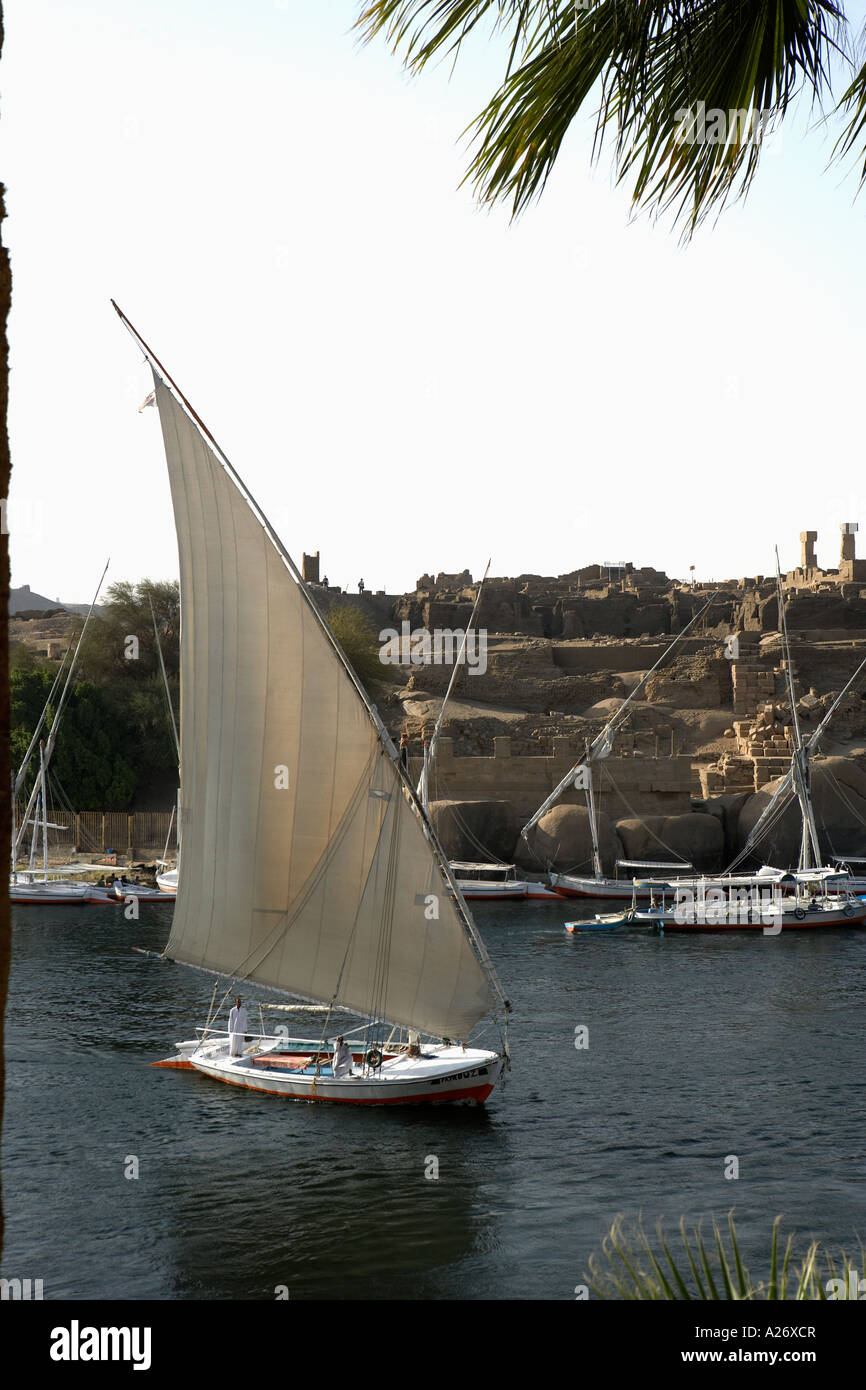 Felucca on Nile River Aswan Egypt Stock Photo - Alamy