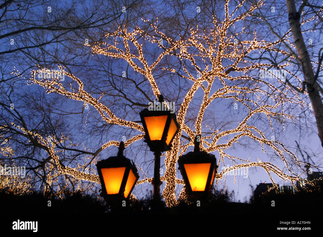 Central Park Christmas Lights 