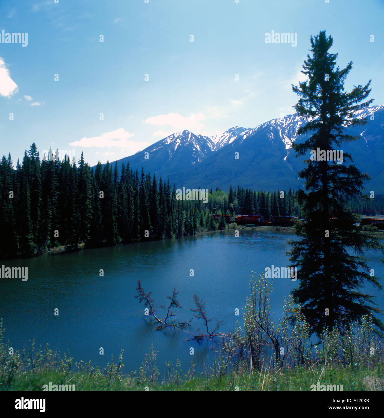 bow Valley near Banff National Park, Alberta, Canada. Photo by Willy