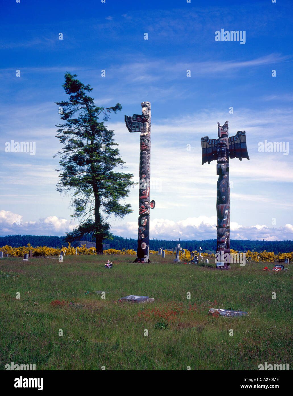 totem poles at Campell River, BC, Canada. Photo by Willy Matheisl Stock Photo