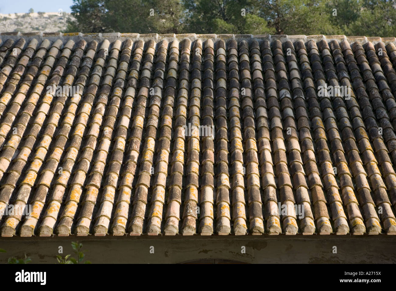 Detail of pantiles Stock Photo - Alamy