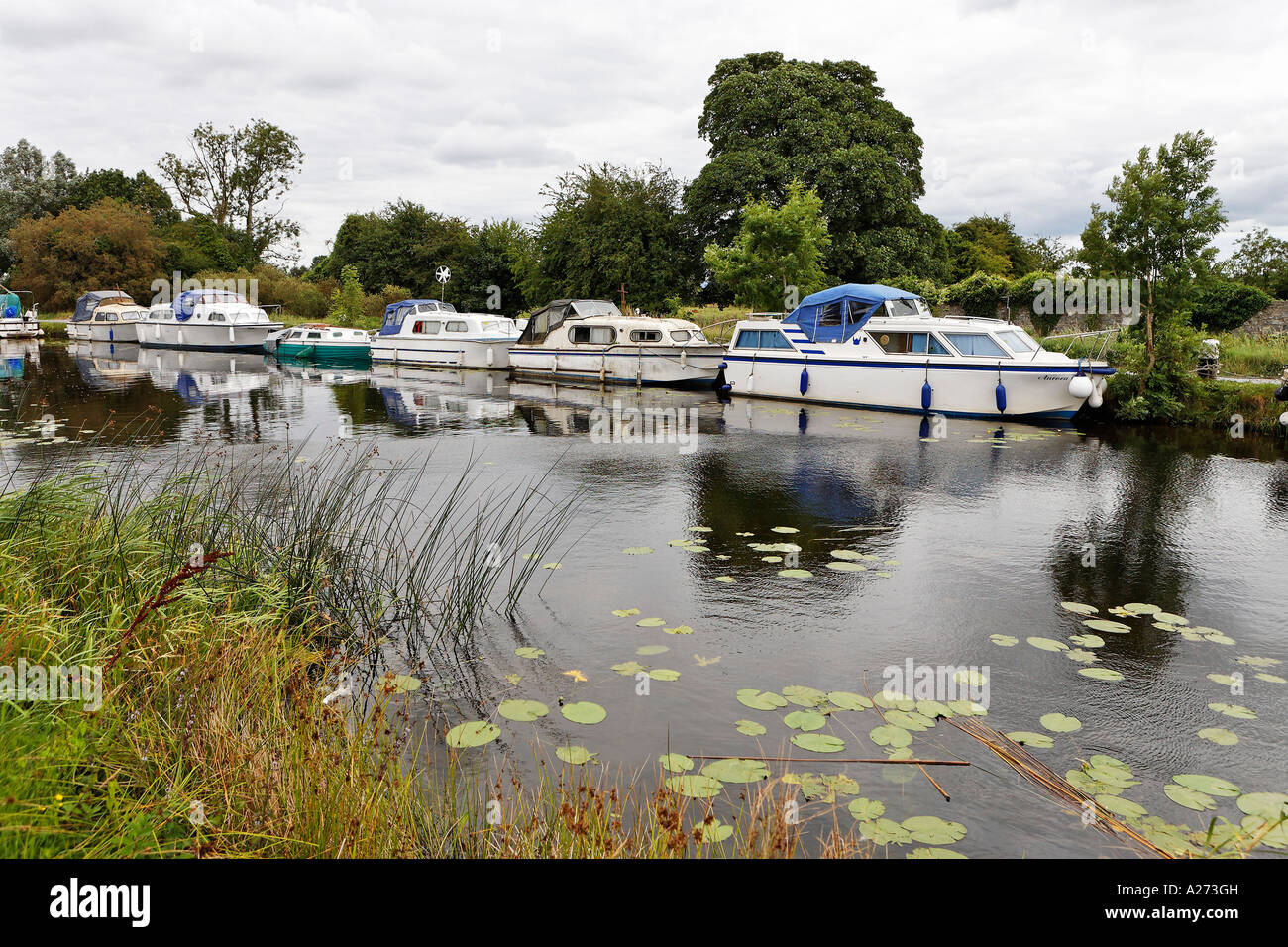 Houseboats on the river Shannon, Ireland Stock Photo Alamy