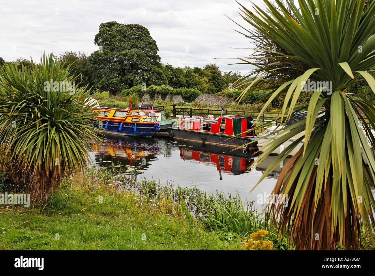 Houseboats on the river Shannon, Ireland Stock Photo Alamy