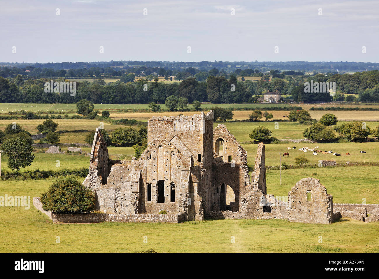 Hore Abbey, Cashel, Tipperary, Ireland Stock Photo Alamy