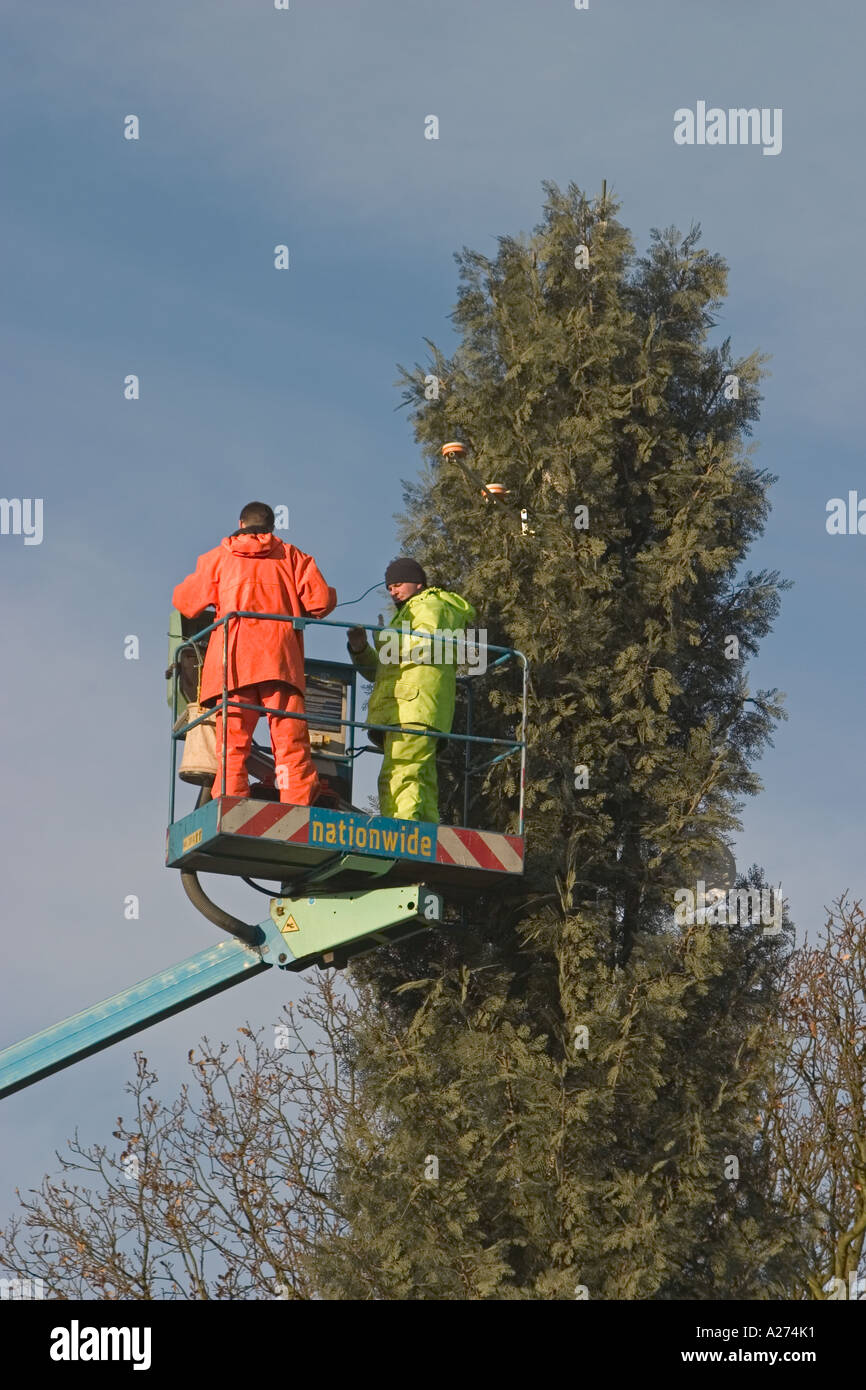 Engineers working on telephone aerial disguised as a tree Sheffield, South Yorkshire Stock Photo