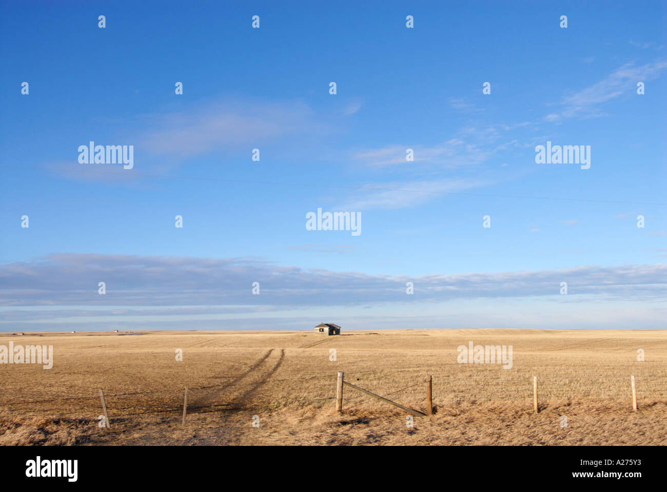Lone abandoned farm house in prairies near Blood Indian Reserve near