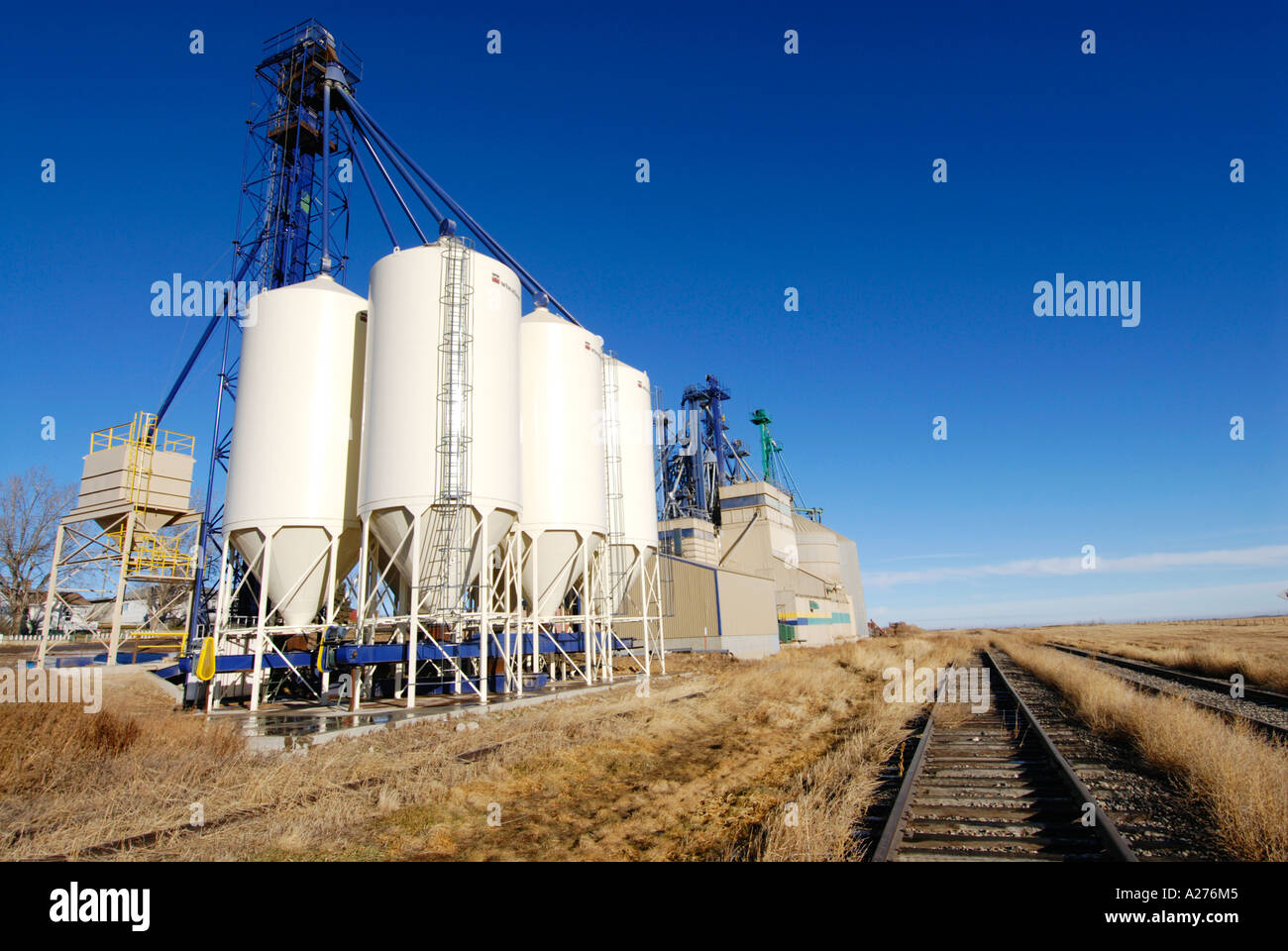 Cattle feed production site in Picture Butte Alberta Canada Stock Photo