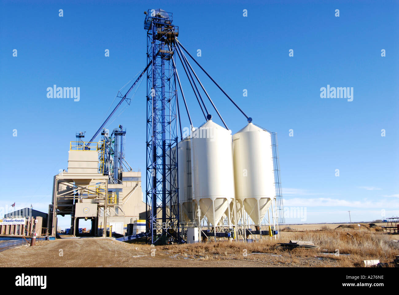 Cattle feed production site in Picture Butte Alberta Canada Stock Photo
