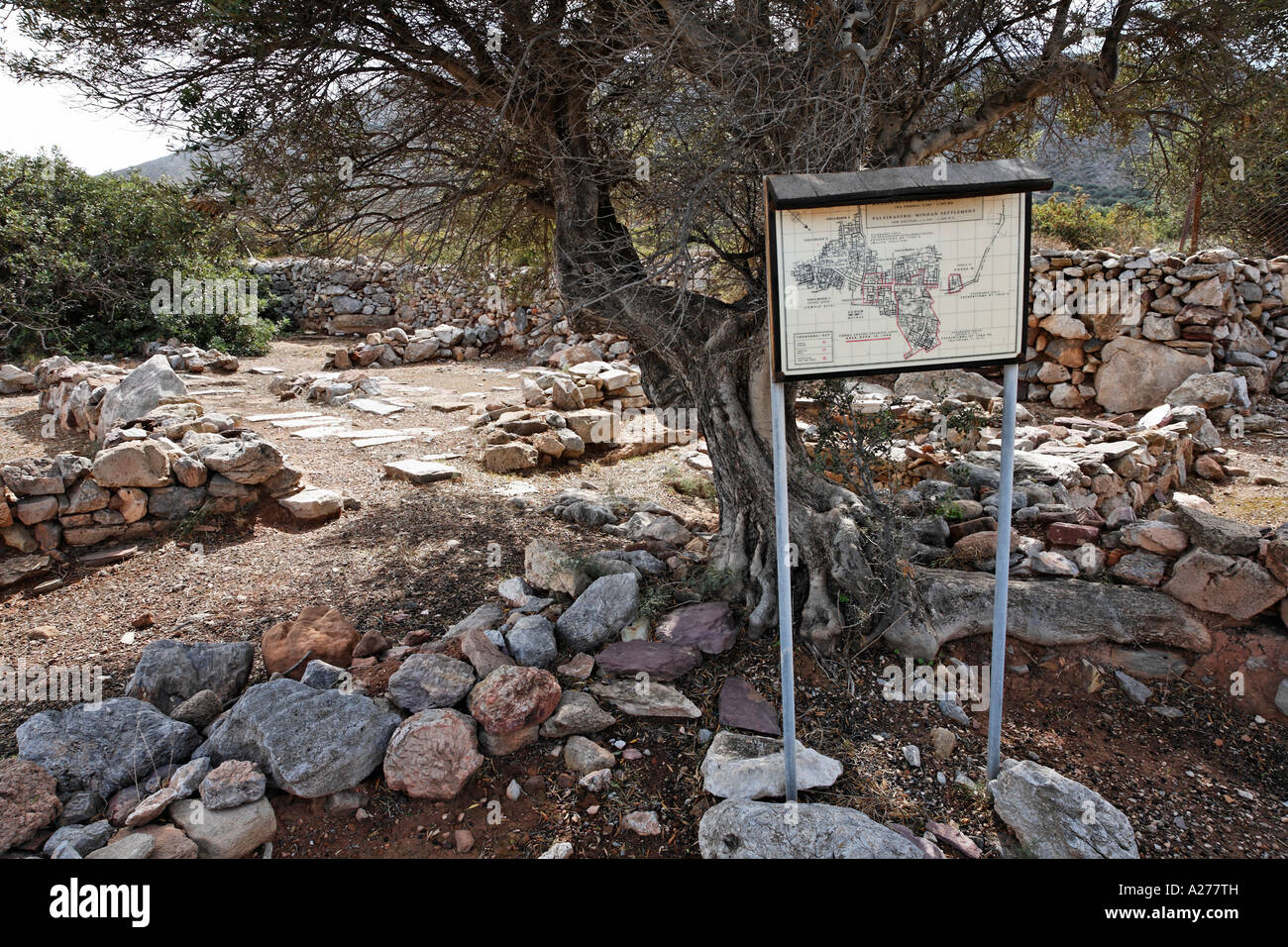 Minoan settlement Roussolakos near Palekastro, eastern Crete, Greece Stock Photo