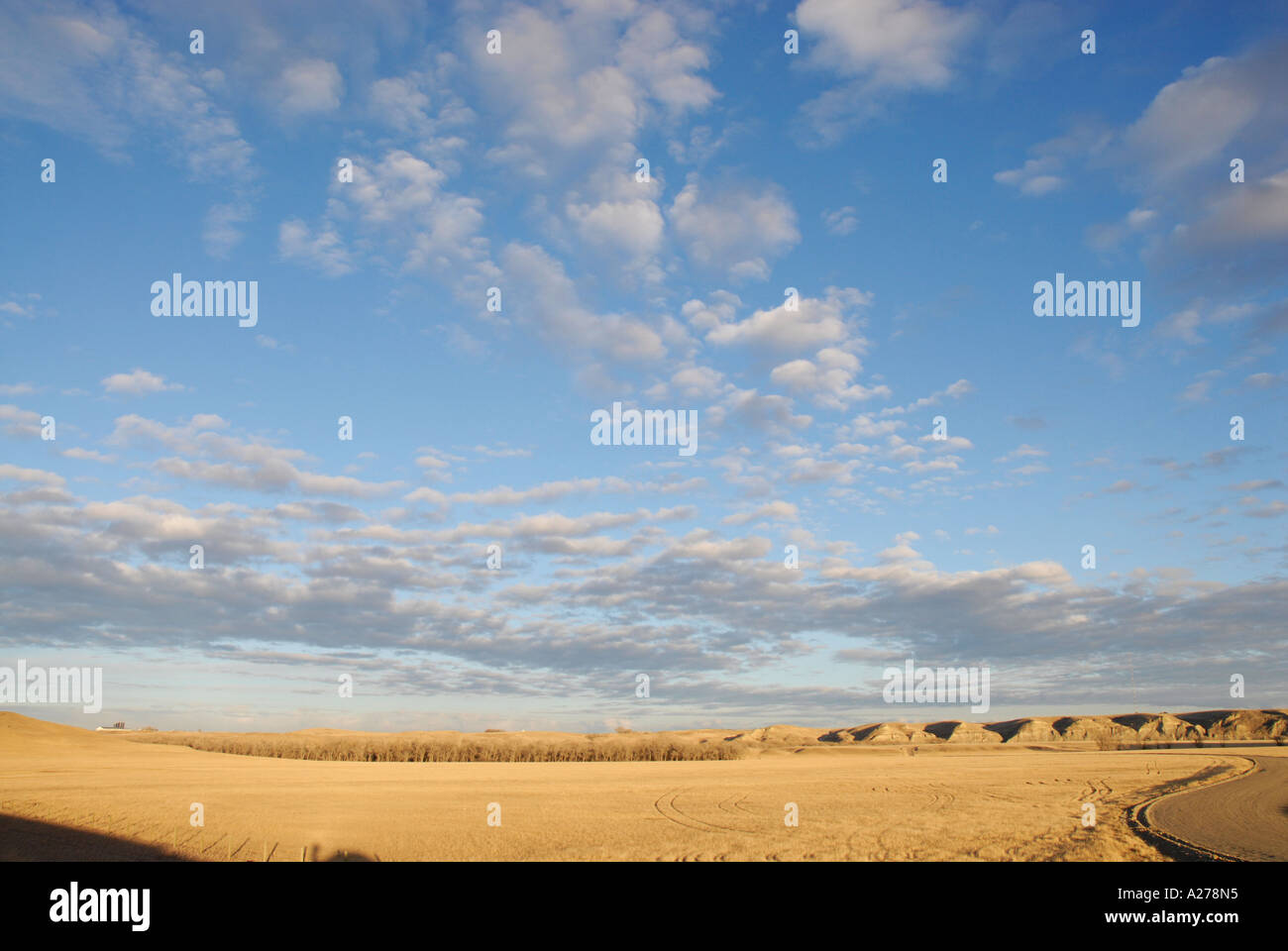 Standoff Reserve Blood Indians the largest native or indian reserve in