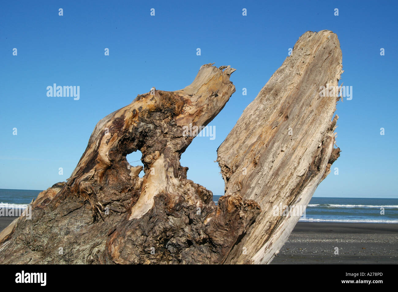 Driftwood Stock Photo
