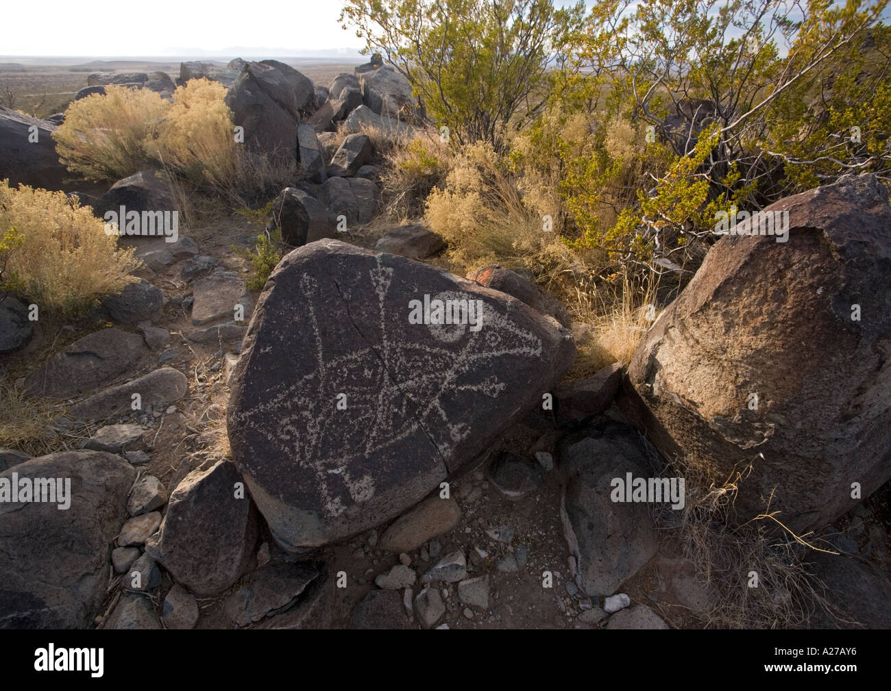 Native american petroglyphs on basalt at Three Rivers Tularosa basin