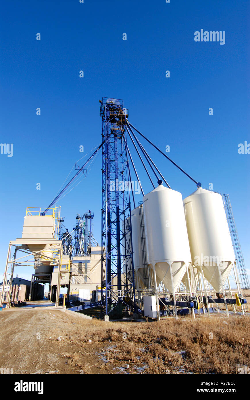 Cattle feed production site in Picture Butte Alberta Canada Stock Photo