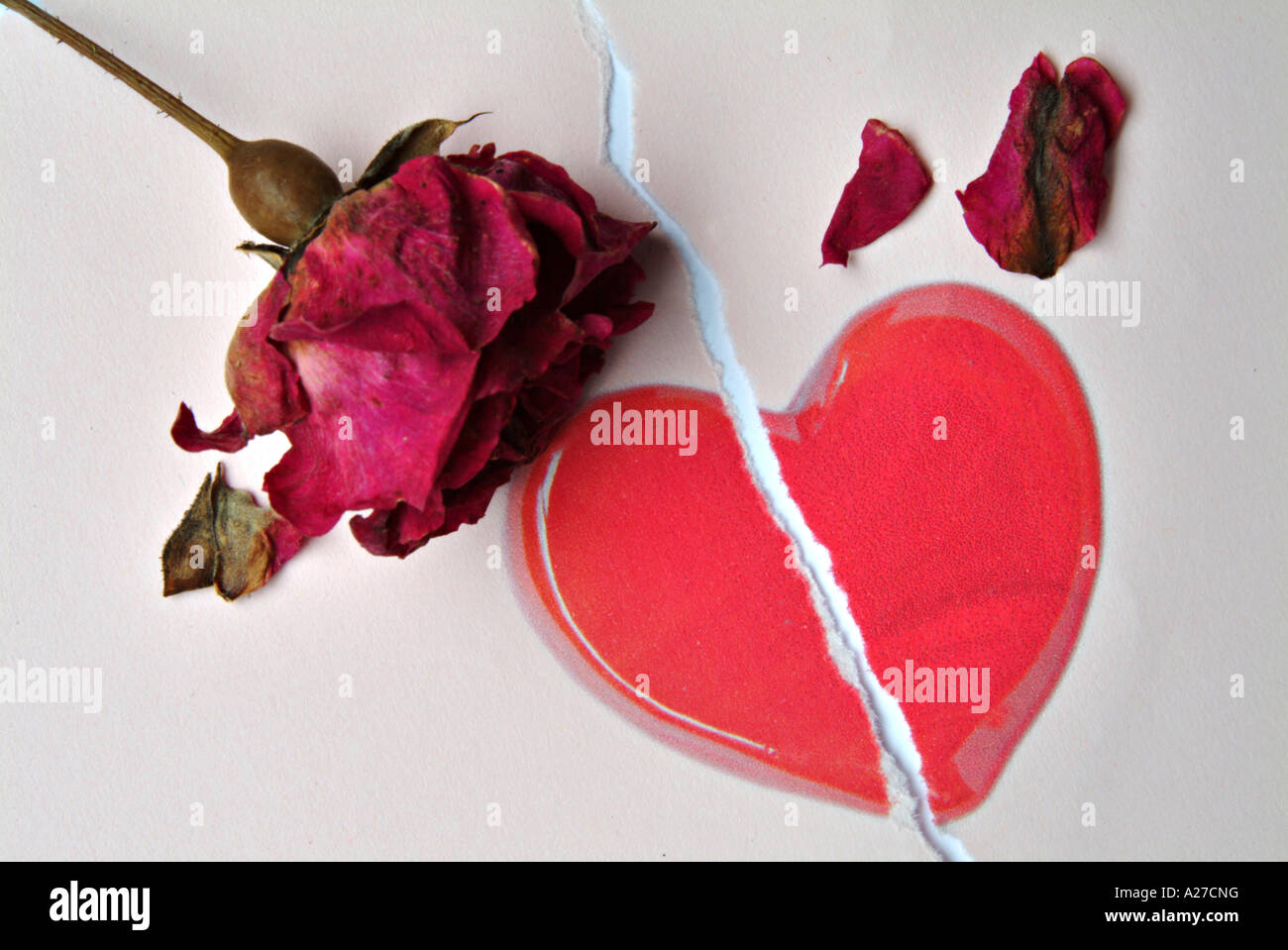 Toppa Ricamata "Tenderly Hurt By Love" Con Rosa - Cuore Infranto, Applicazione A Ferro O Cucito