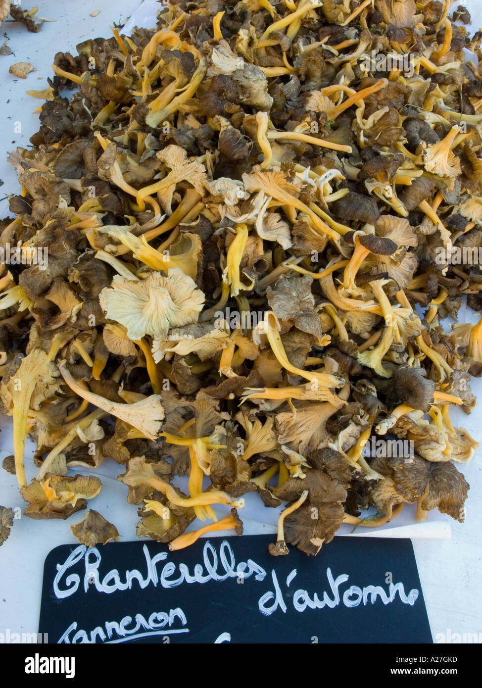 Dried Chanterelles/Girolles mushrooms on sale in the Cours Saleya flower and vegetable market in Nice on the Cote d'Azur, France Stock Photo