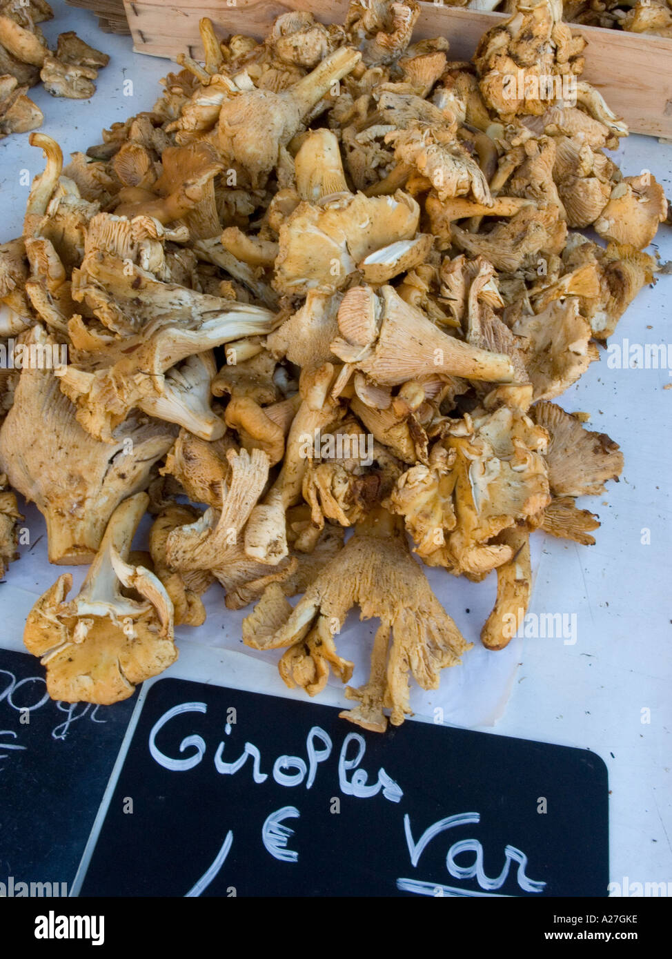 Dried Chanterelles/Girolles mushrooms on sale in the Cours Saleya flower and vegetable market in Nice on the Cote d'Azur, France Stock Photo