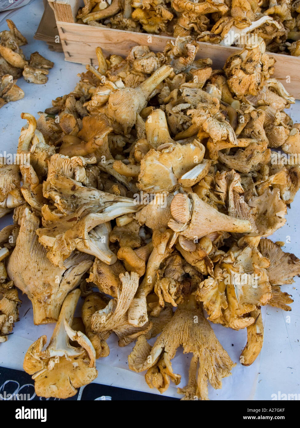 Dried Chanterelles/Girolles mushrooms on sale in the Cours Saleya flower and vegetable market in Nice on the Cote d'Azur, France Stock Photo