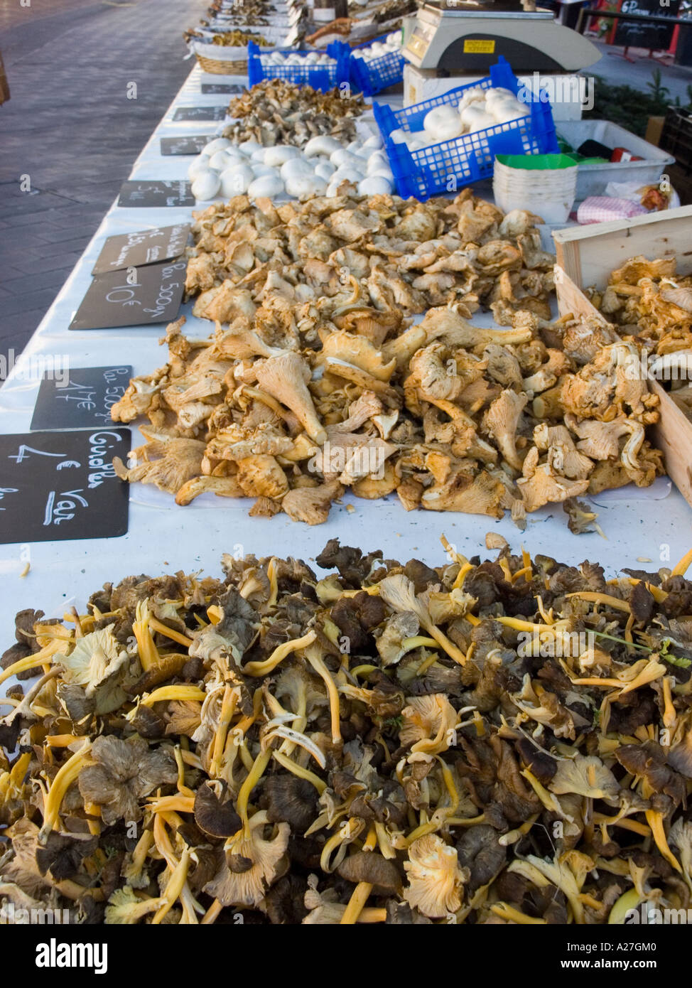 Dried Chanterelles/Girolles mushrooms on sale in the Cours Saleya flower and vegetable market in Nice on the Cote d'Azur, France Stock Photo