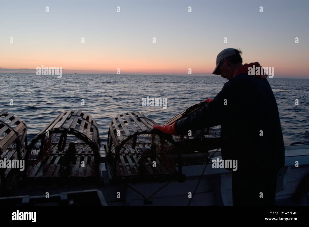 Lobsterman drops traps into Gulf of St Lawrence at sunrise Canada Stock Photo