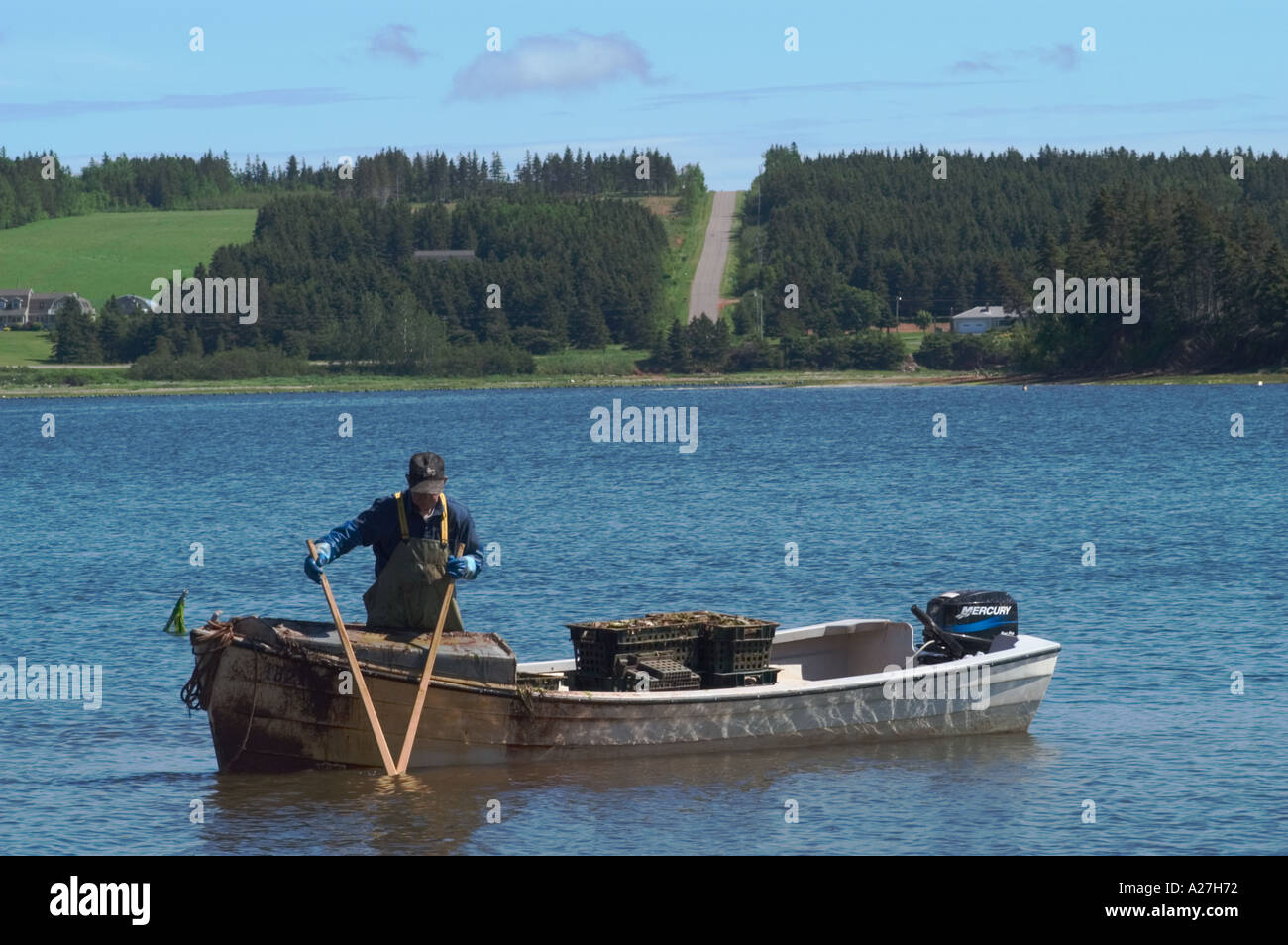 Tonging for oysters Stanley River Prince Edward Island Canada Stock Photo