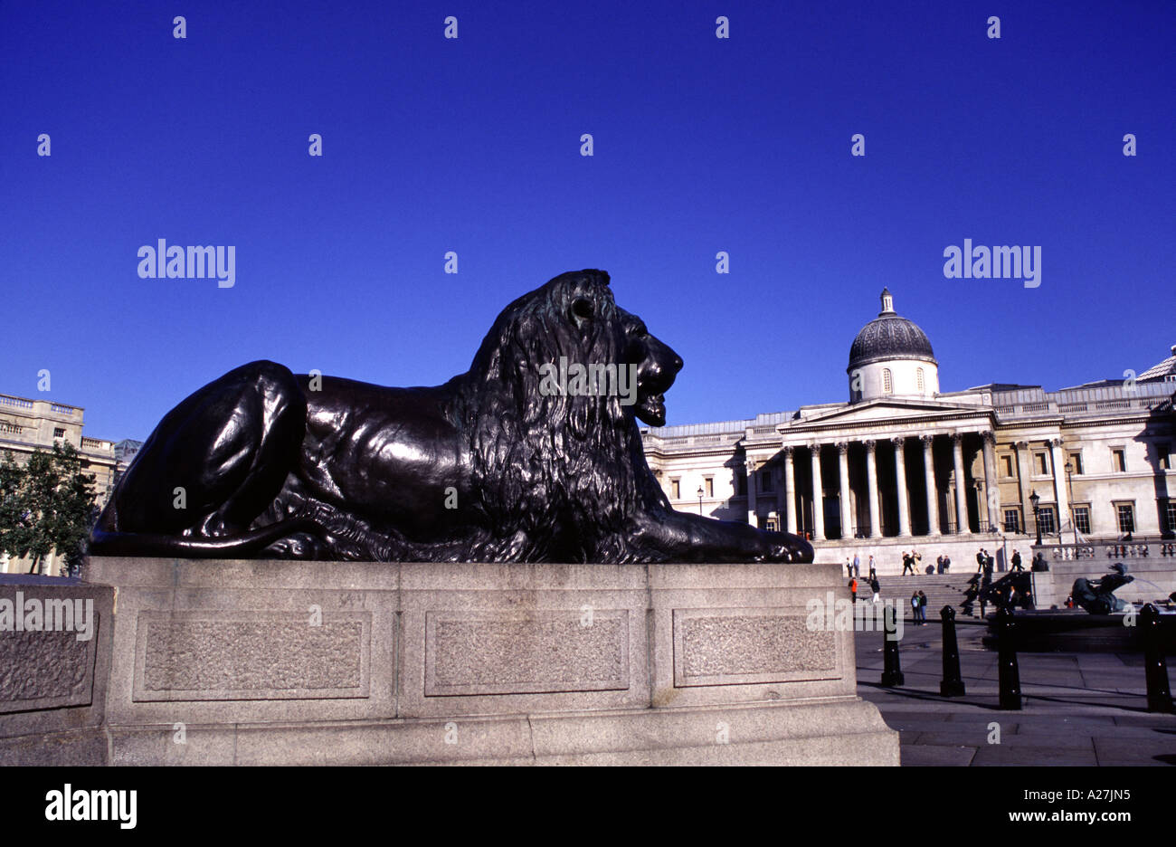 Lion statue and the National Gallery in Trafalgar Square, London, UK