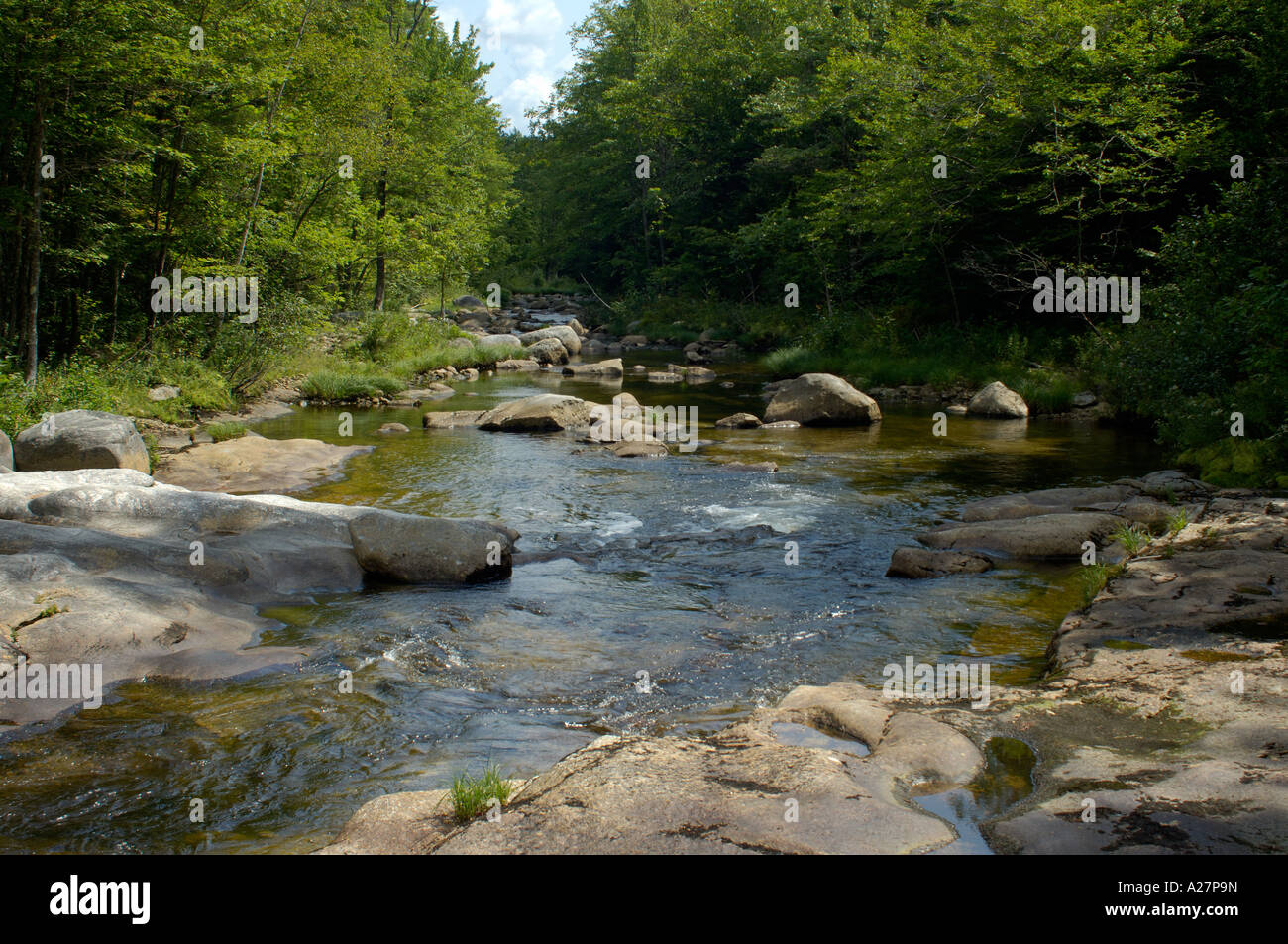 Cold River in Evans Notch of the White Mountains on the Maine and New