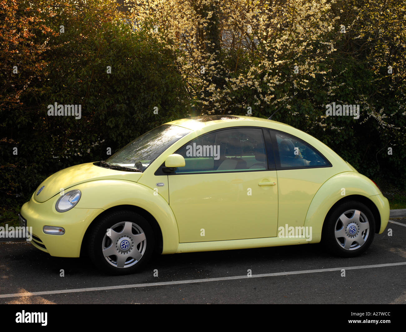 Vw beetle new hi-res stock photography and images - Alamy