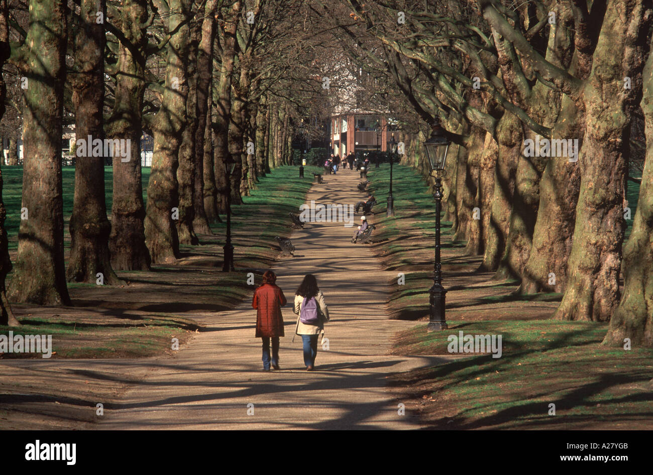Two young women walking in Green Park on pathway lined by London Plane trees casting criss crossed shadows, London, England Stock Photo
