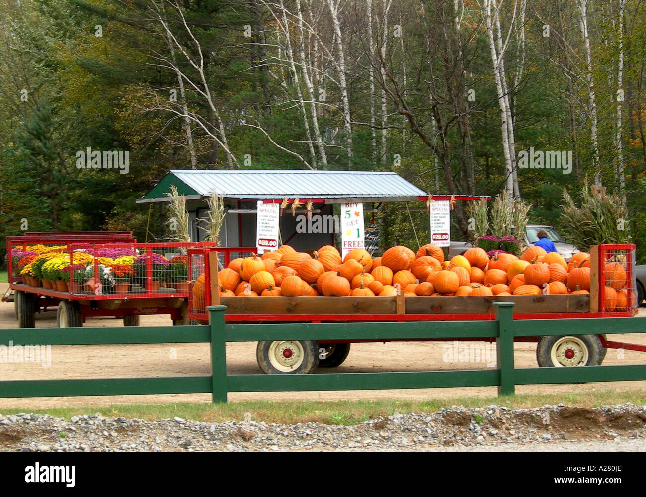 Pumpkins Stacked on Trailer for Sale at Market Stall at North Conway